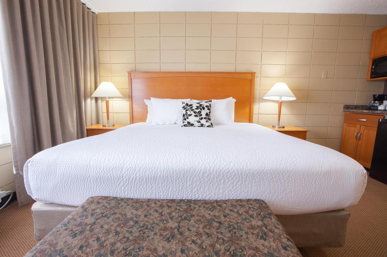 Neighbourhood Inn Hotels In Bonnyville Zewnętrze zdjęcie